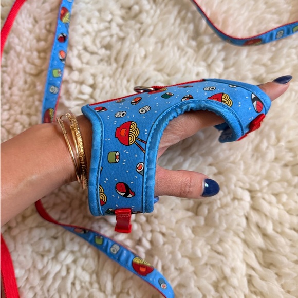 Sushi pet Harness with Leash - Picture 5 of 5